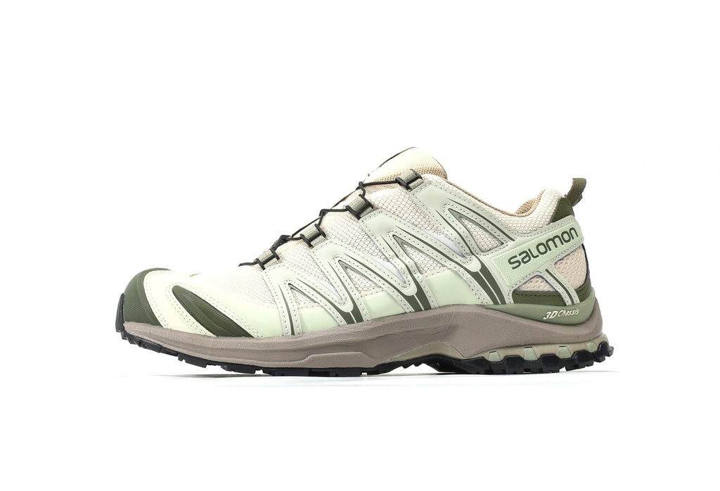 Salomon XA PRO 3D GTX Gray Green