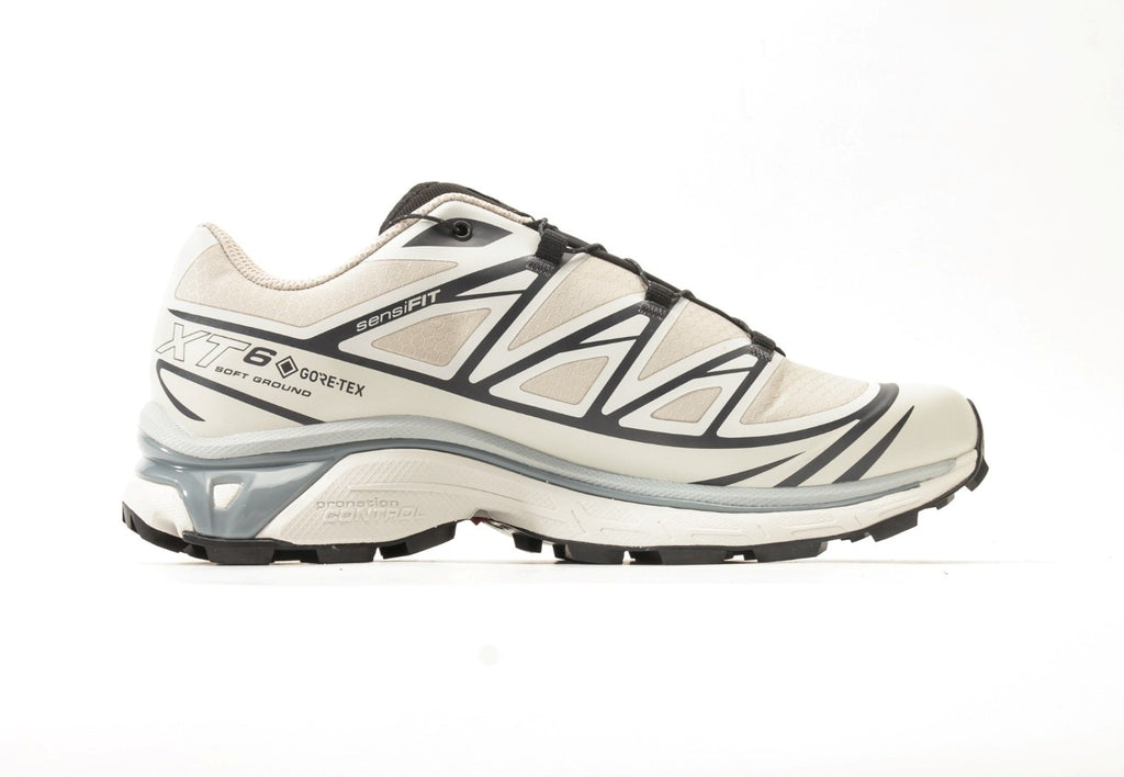 Salomon XT-6 GORE-TEX Silver Cloud Black