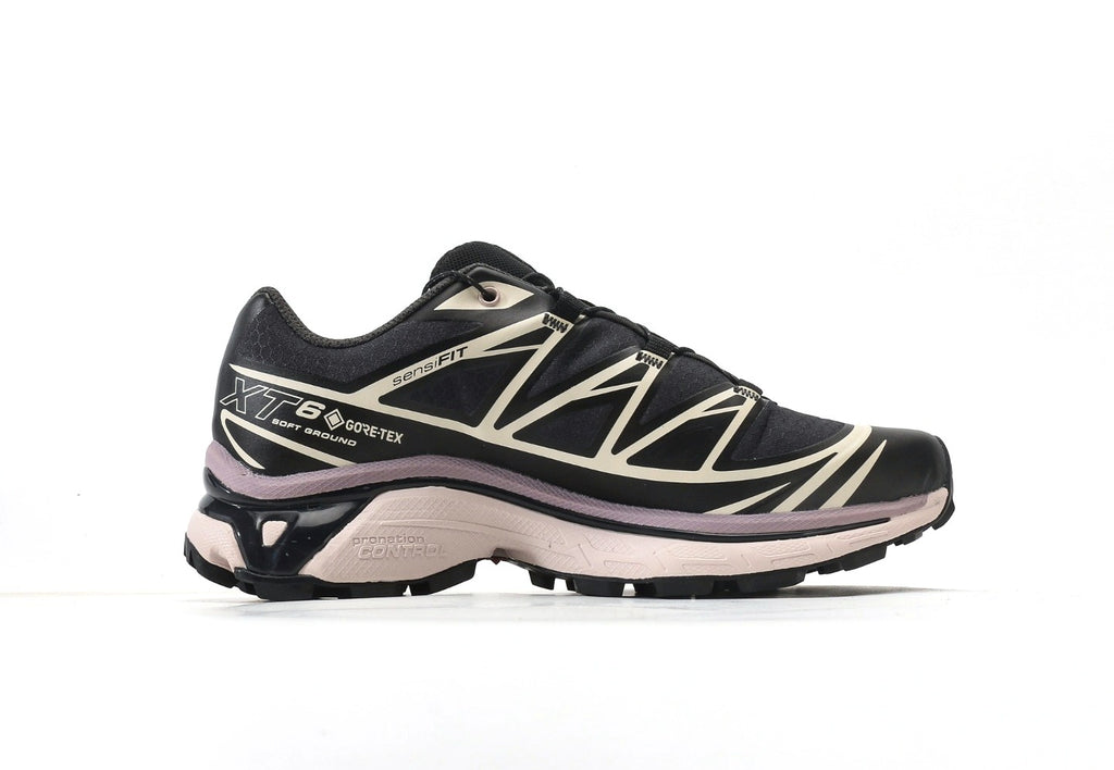 Salomon XT-6 GTX Phantom/Hushed Violet/Nirvana