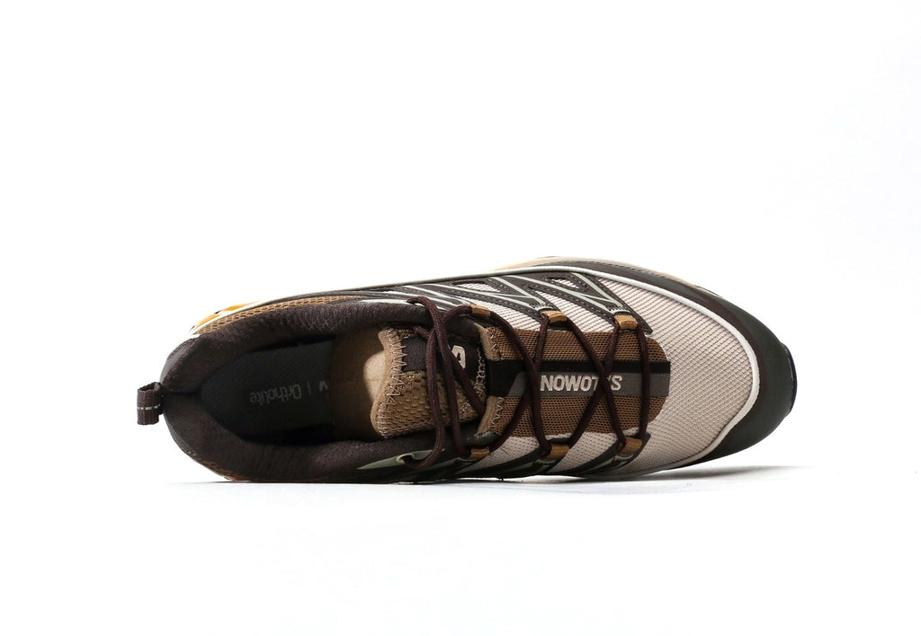 Salomon XT-6 Expanse "Feather Grey Golden Oak"