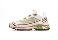 Salomon XT-6 FT "Rainy Day Epsom"