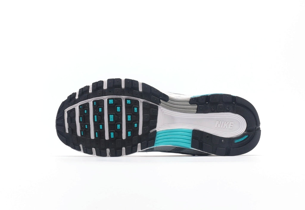 P-6000 "Dusty Cactus"