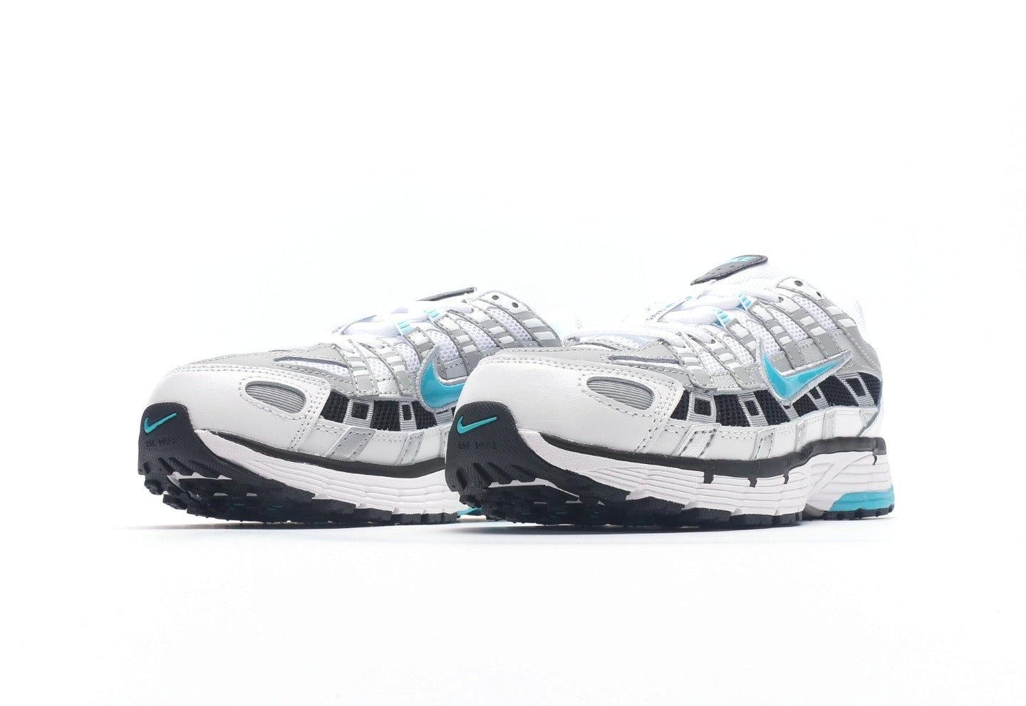 P-6000 "Dusty Cactus"