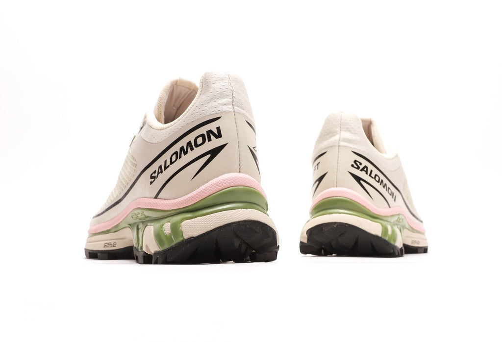 Salomon XT-6 FT "Rainy Day Epsom"