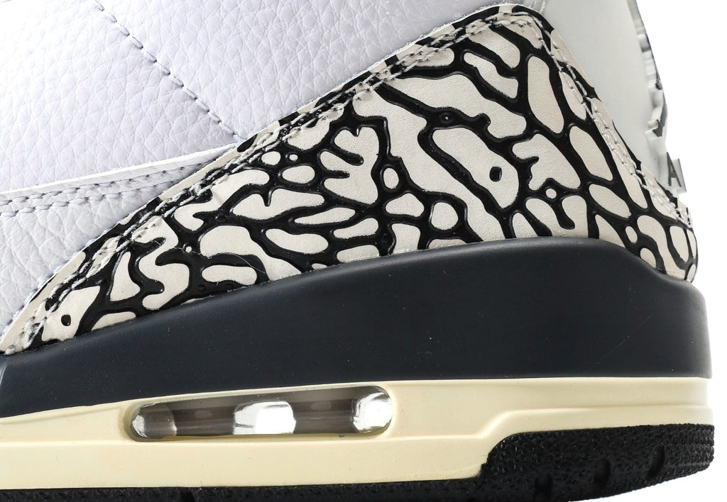 Air Jordan 3 GS Hide N' Sneak