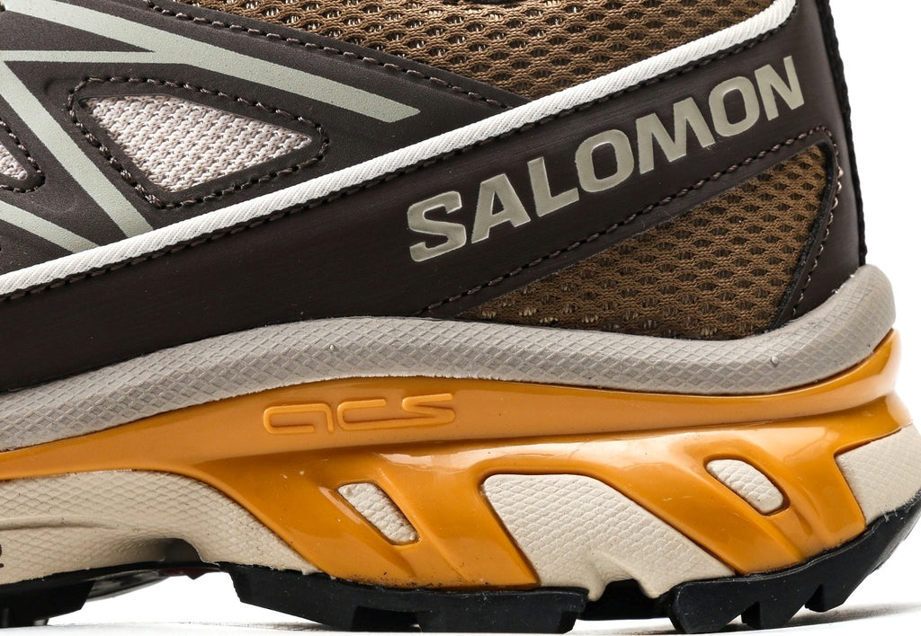 Salomon XT-6 Expanse "Feather Grey Golden Oak"