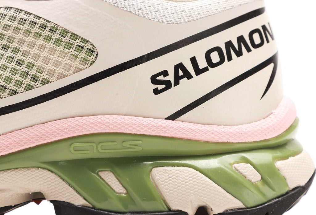 Salomon XT-6 FT "Rainy Day Epsom"