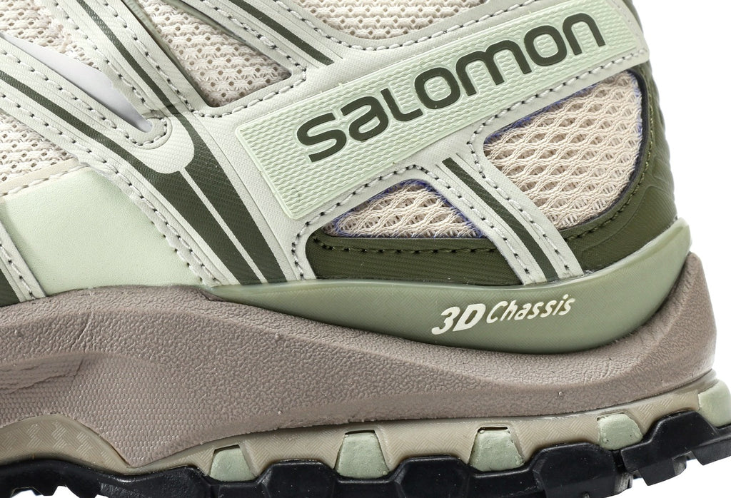 Salomon XA PRO 3D GTX Gray Green