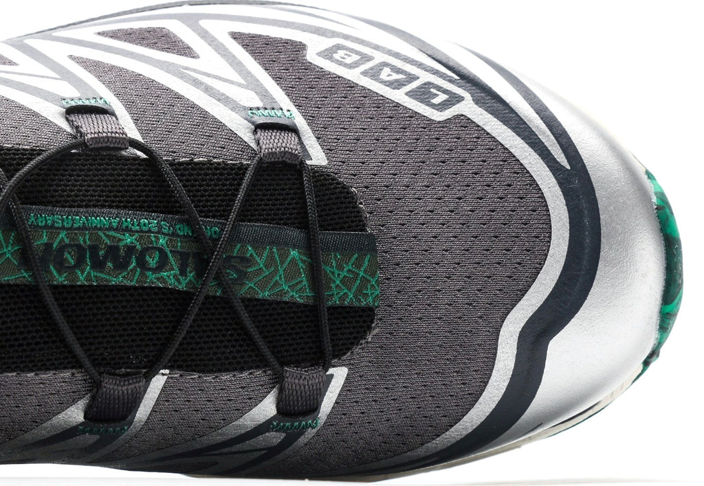 END. x SALOMON XT-6