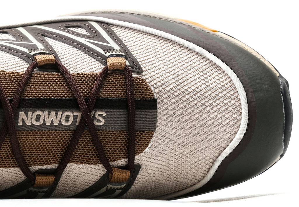 Salomon XT-6 Expanse "Feather Grey Golden Oak"