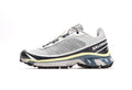 Salomon Xt-6 FT "Metallic Silver"