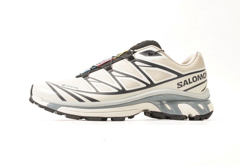 Salomon XT-6 GORE-TEX Silver Cloud Black