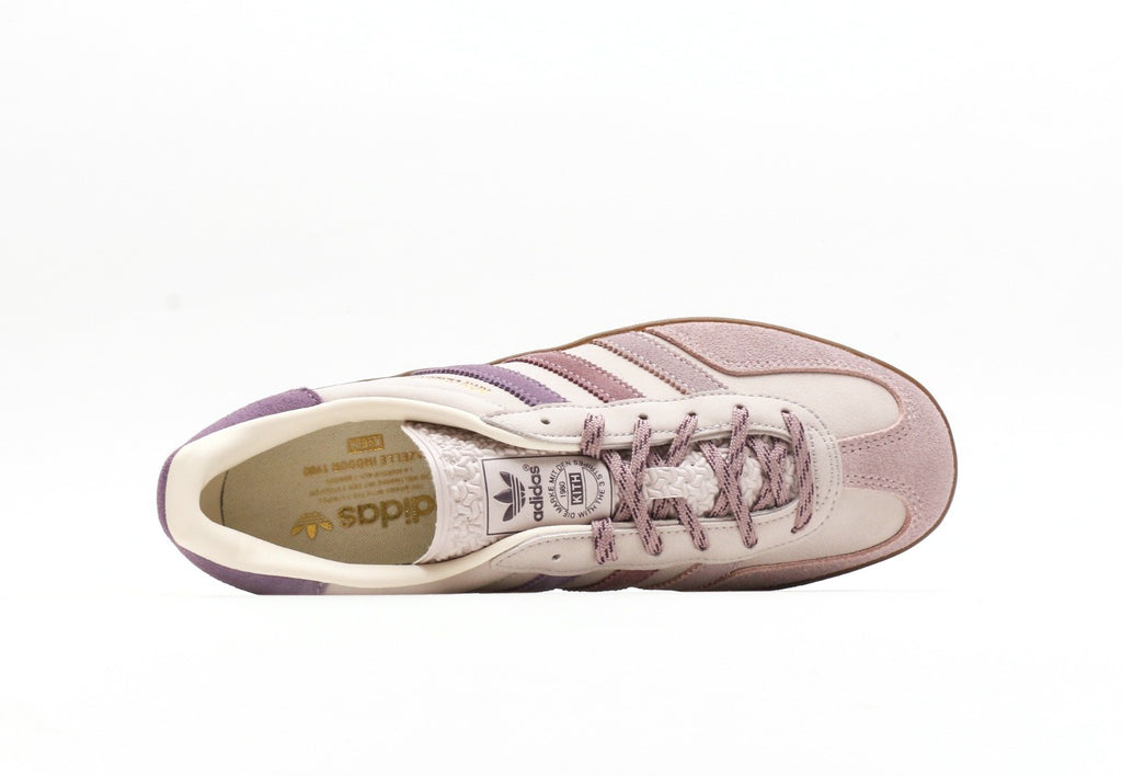 Gazelle Indoor "Classics Program - Ash Purple"