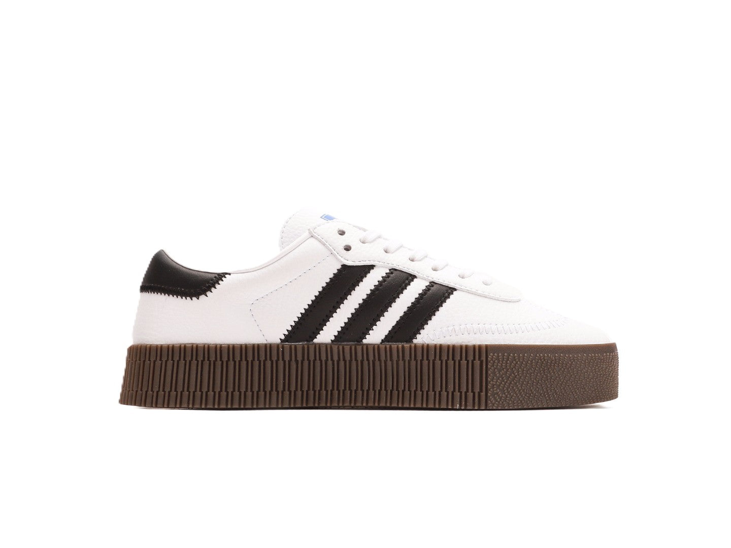 Sambarose "Cloud White"