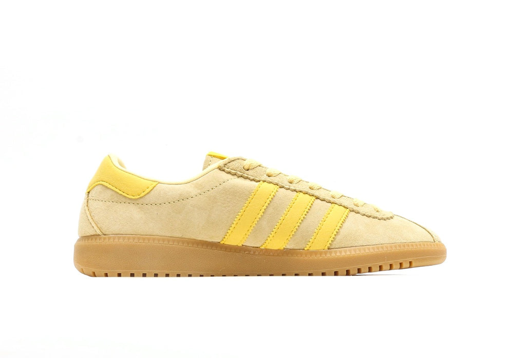 Bermuda "Yellow"