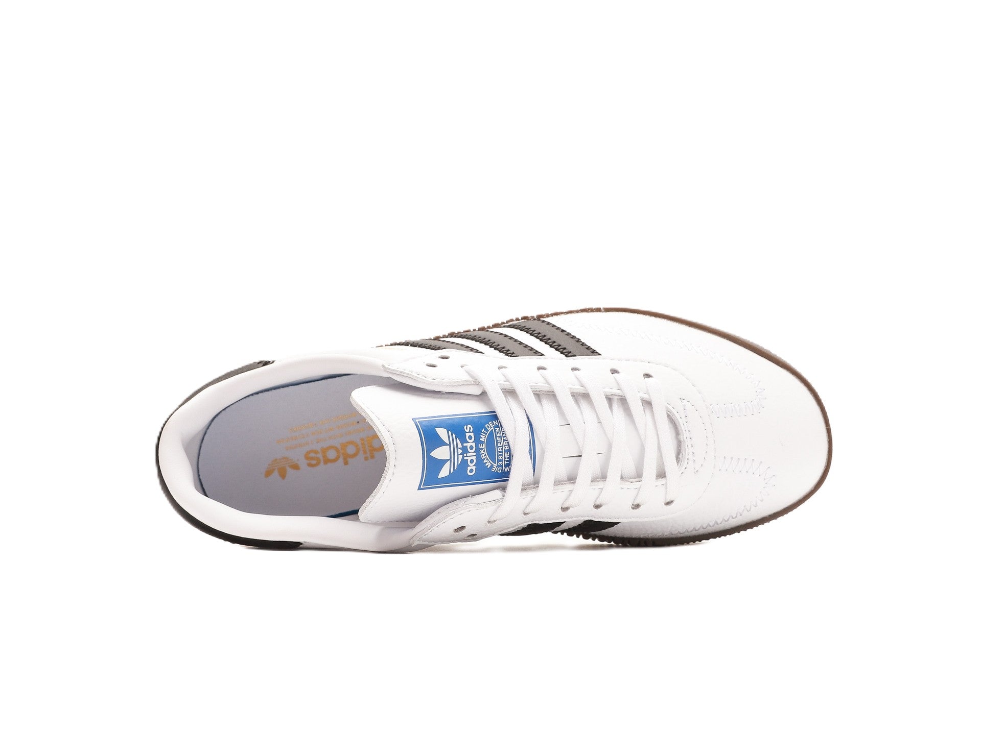 Sambarose "Cloud White"
