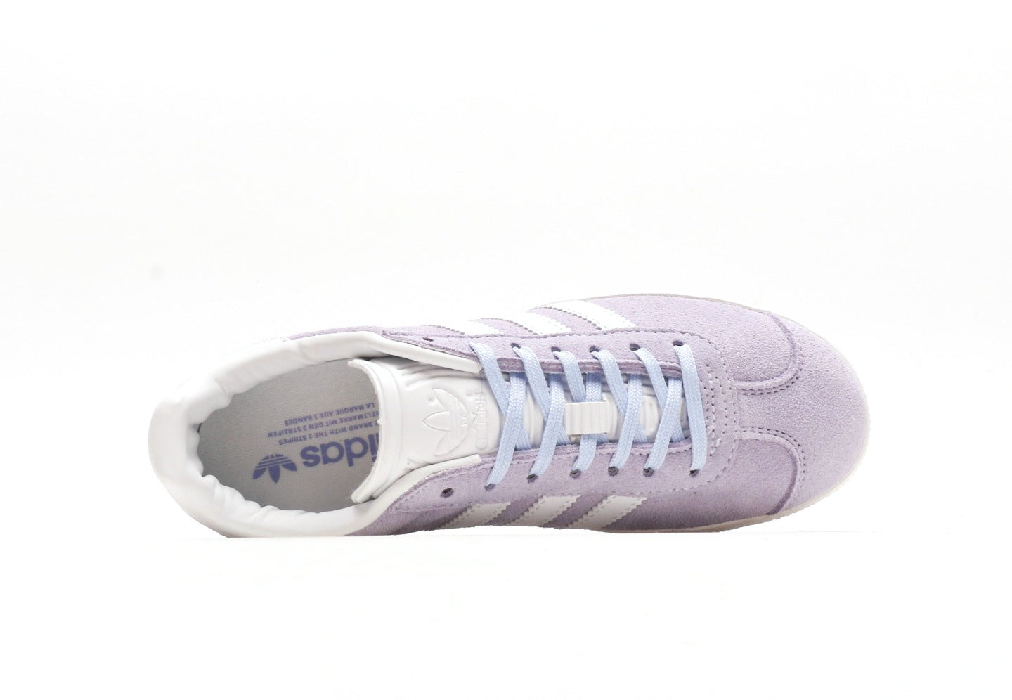 Gazelle Violet Tone