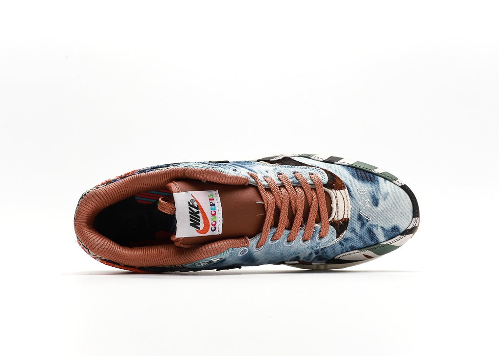Concepts x Nike Air Max 1 "Heavy"