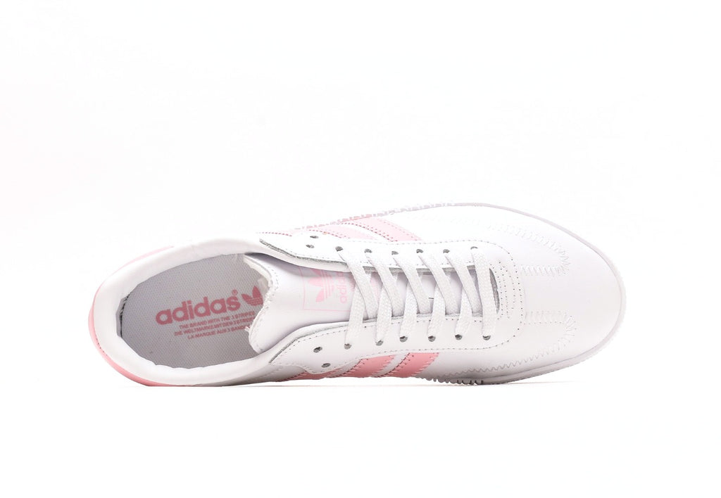 Sambarose "True Pink"