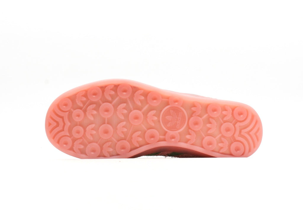 Gazelle Indoor Semi Pink Green