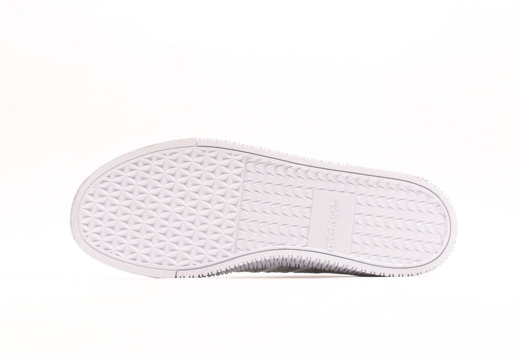 Sambarose "White Silver"
