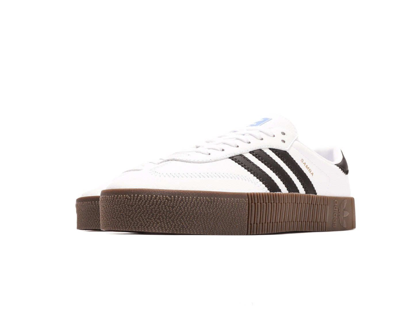 Sambarose "Cloud White"