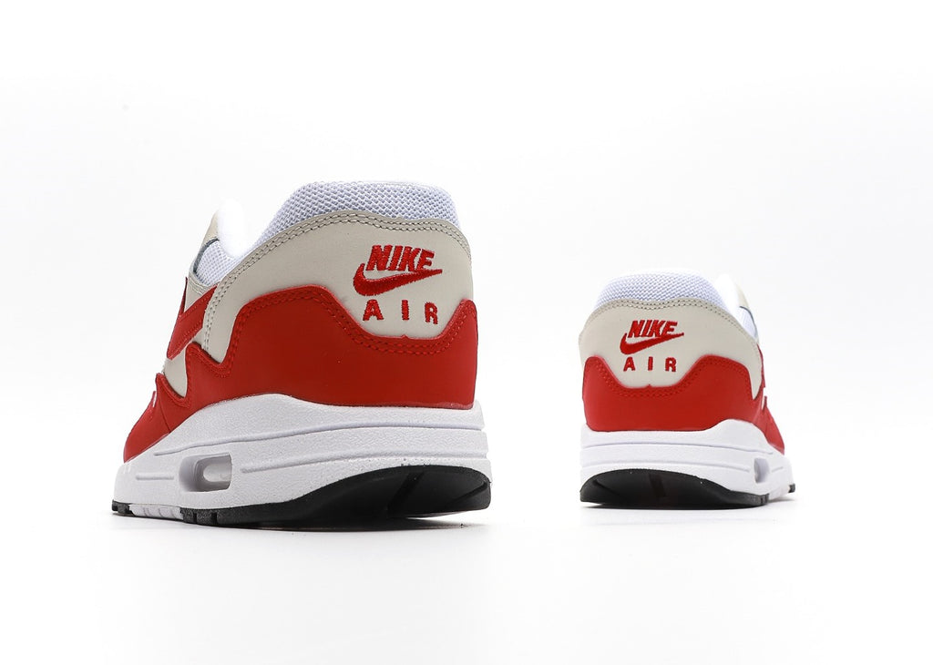 Patta x Air Max 1