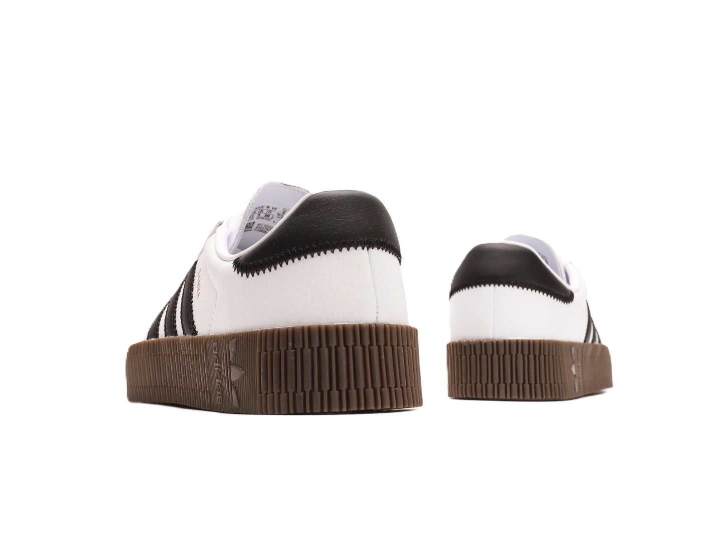 Sambarose "Cloud White"