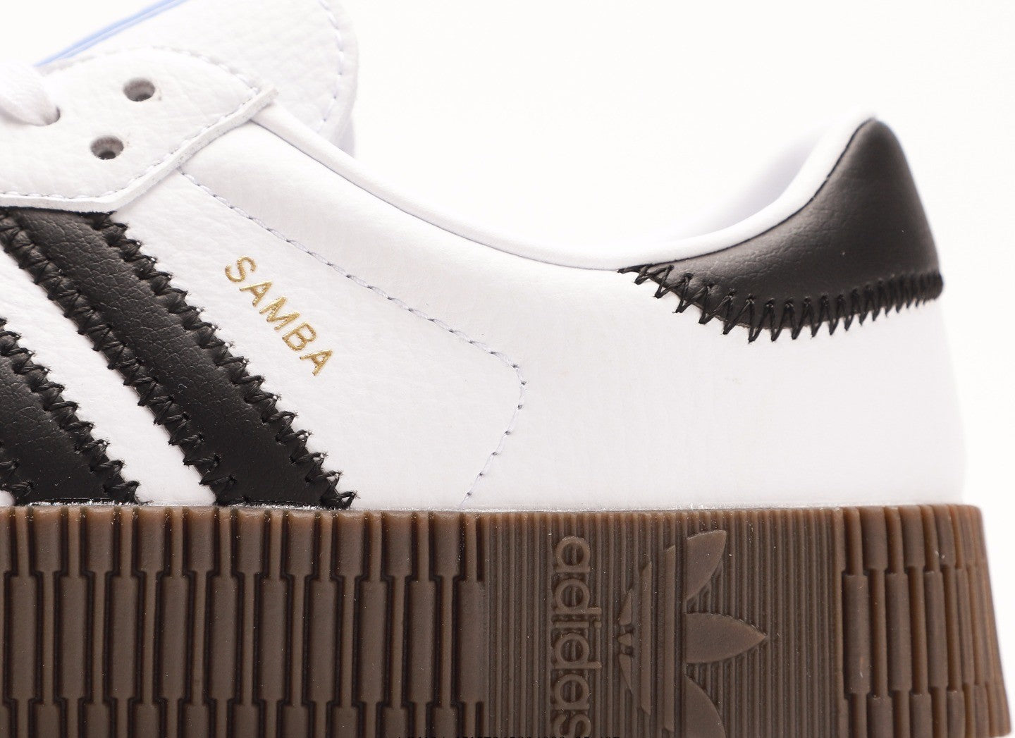 Sambarose "Cloud White"