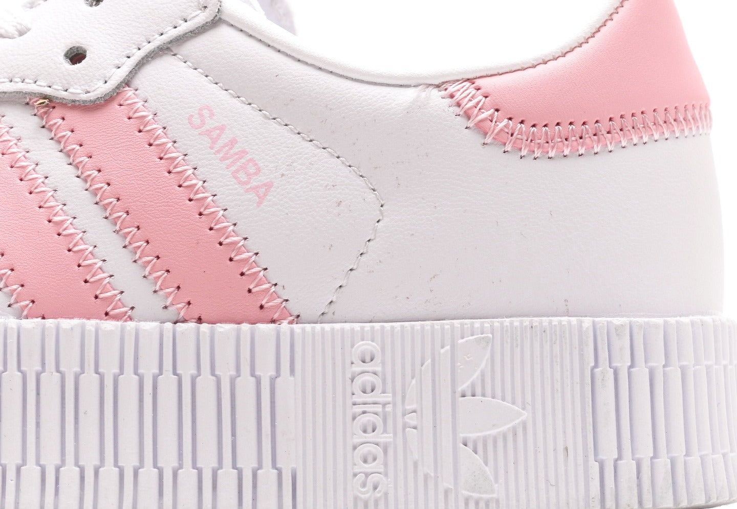 Sambarose "True Pink"