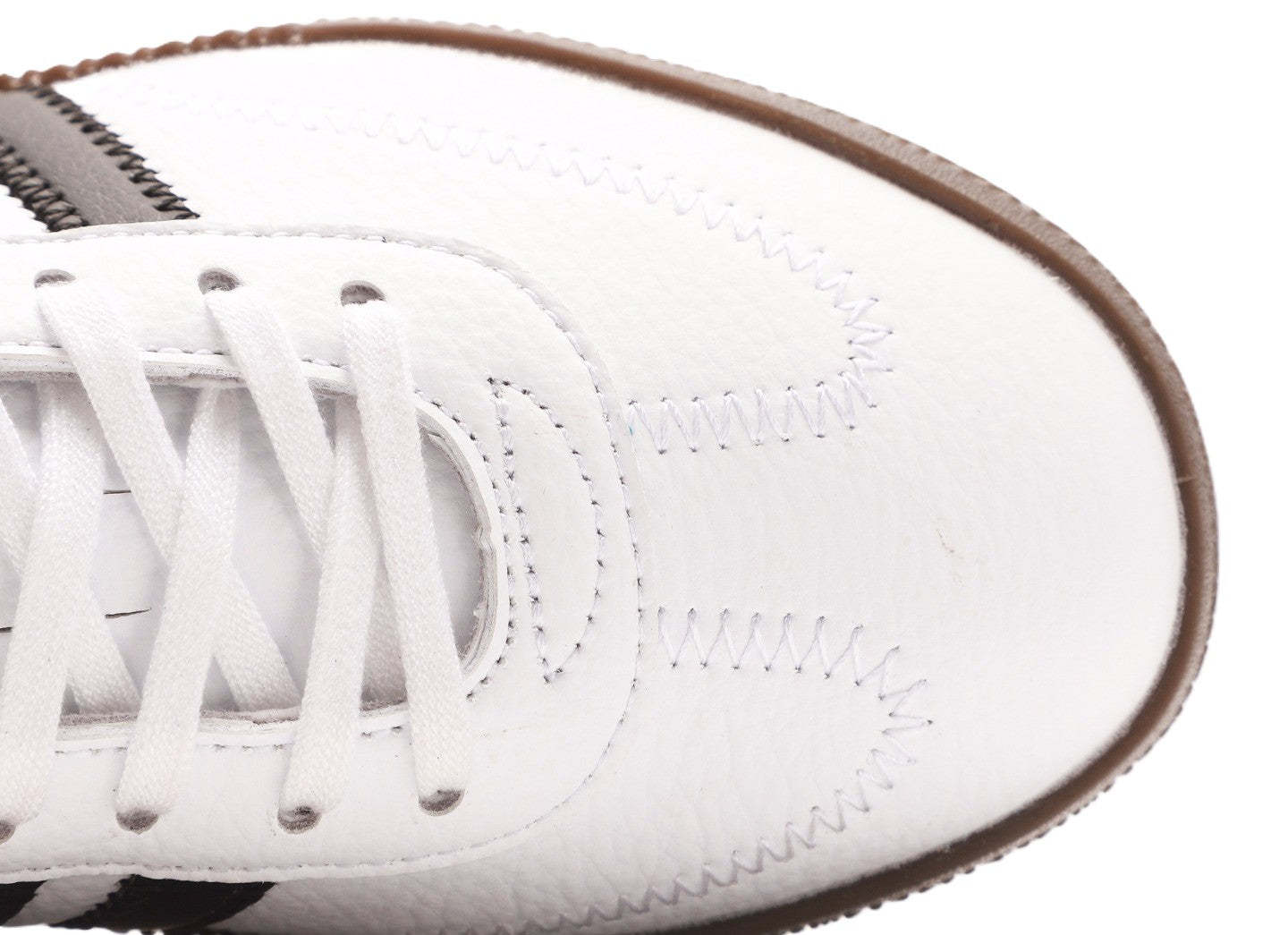 Sambarose "Cloud White"