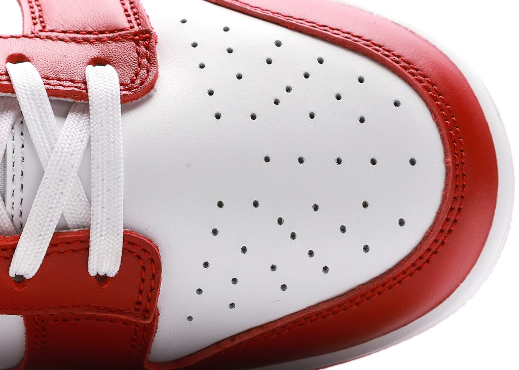 Dunk Low Gym Red [PK GOD]