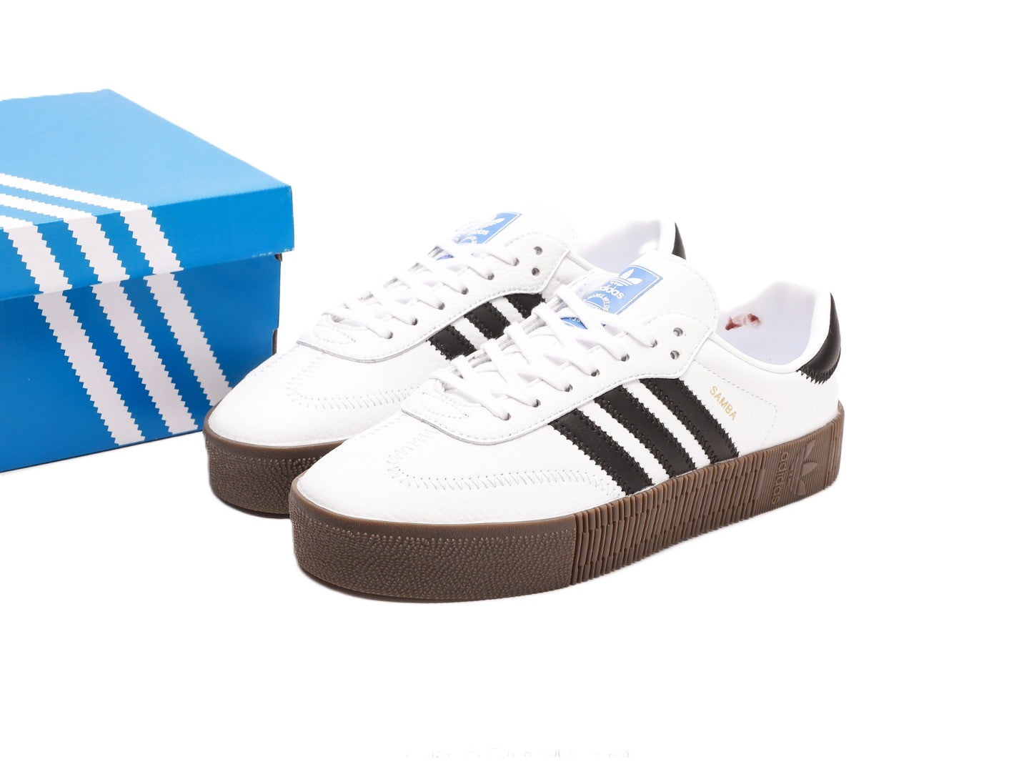 Sambarose "Cloud White"