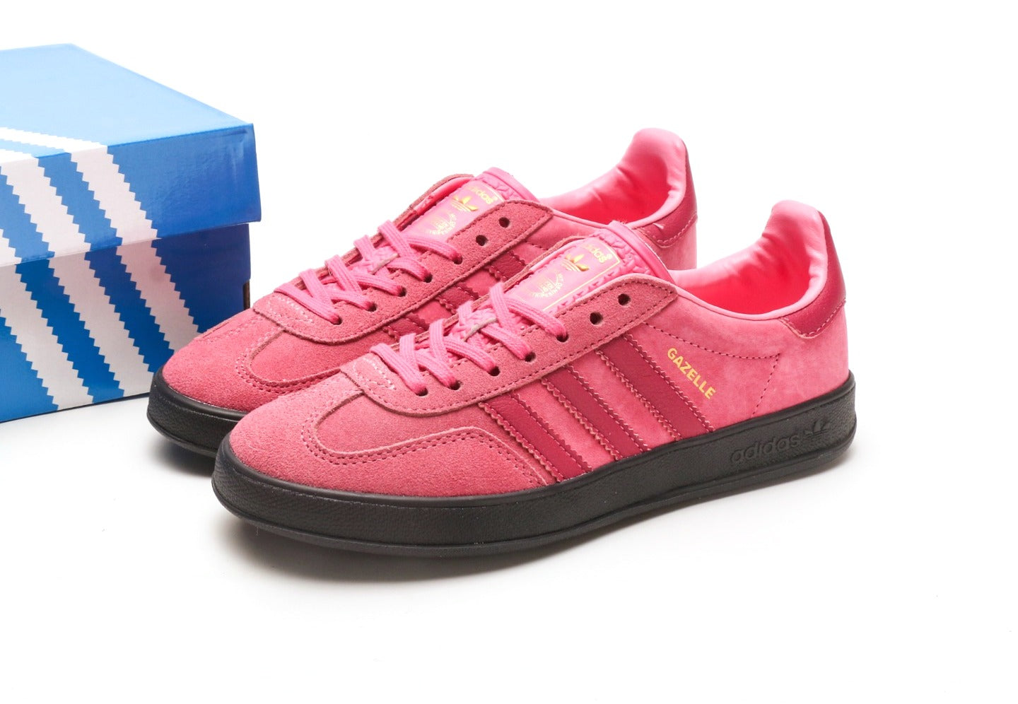 Gazelle Indoor Pink Fusion